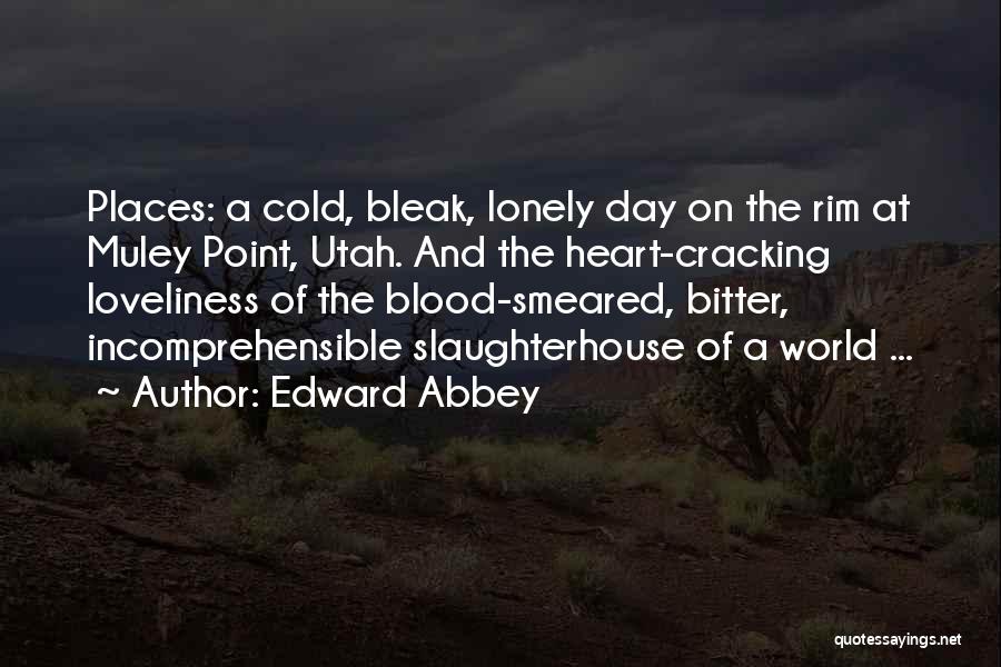 Incomprehensible Quotes By Edward Abbey