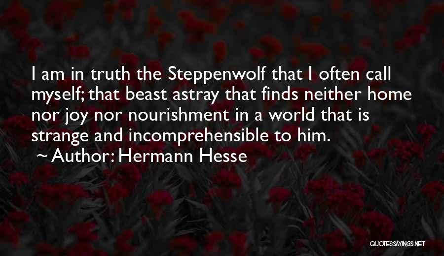 Incomprehensible Quotes By Hermann Hesse