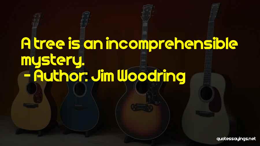 Incomprehensible Quotes By Jim Woodring