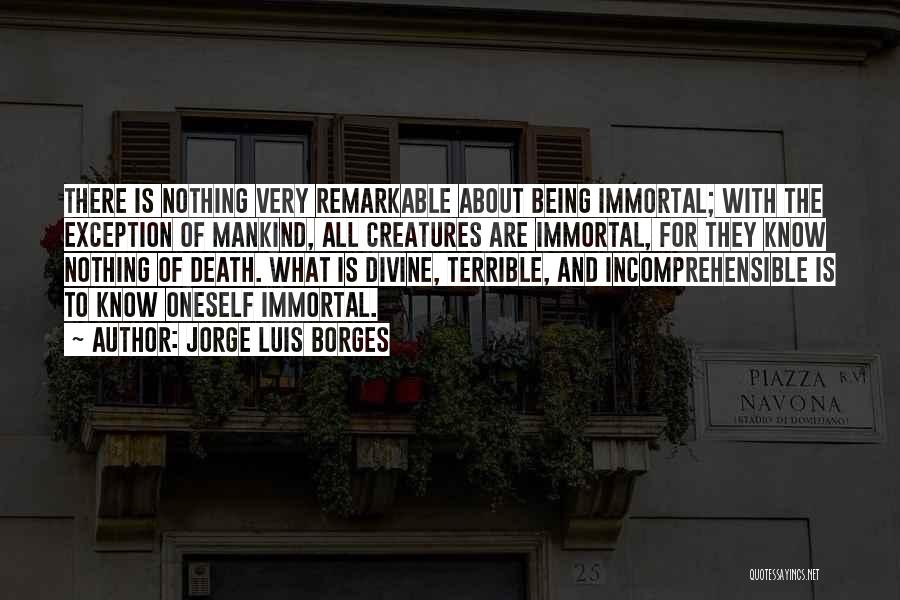 Incomprehensible Quotes By Jorge Luis Borges