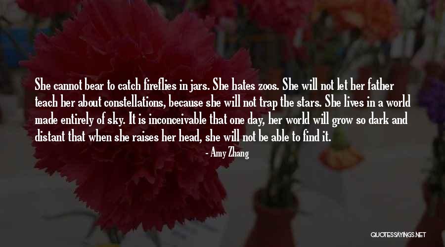 Inconceivable Quotes By Amy Zhang