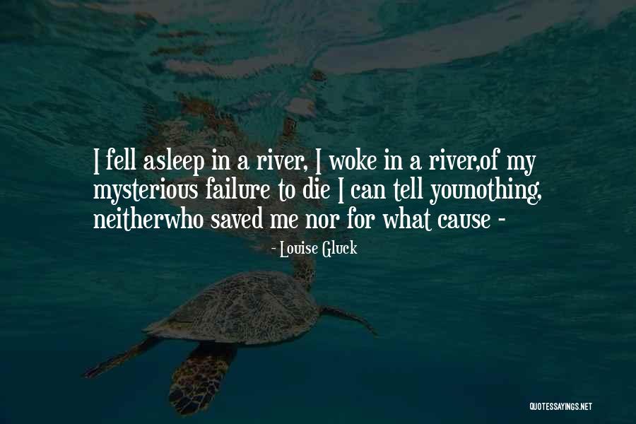Inconsistencia Definicion Quotes By Louise Gluck Inconsistencia Definicion Quotes By Louise Gluck