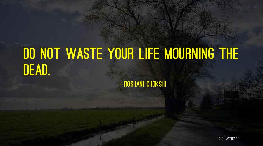 Inconsistente Definicion Quotes By Roshani Chokshi
