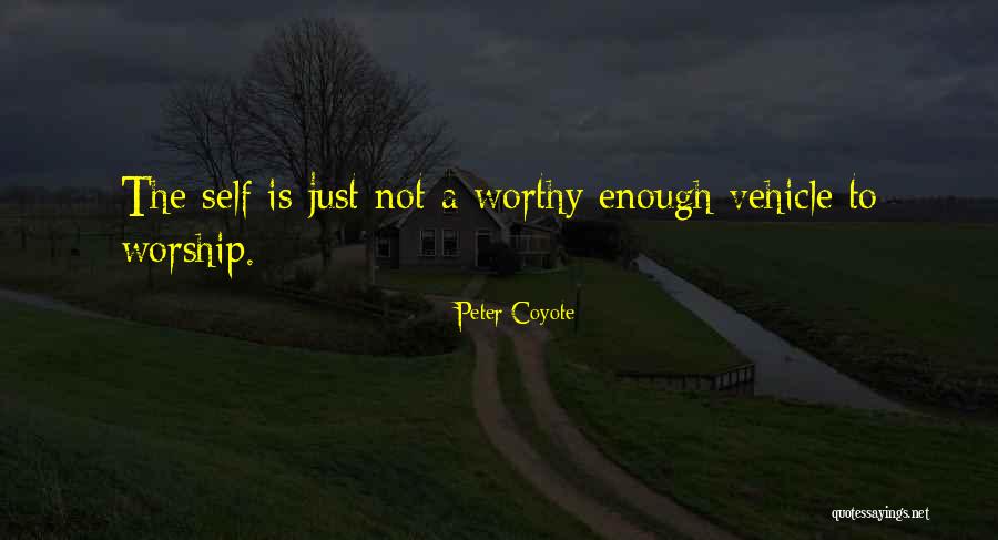 Inconstientul Quotes By Peter Coyote Inconstientul Quotes By Peter Coyote