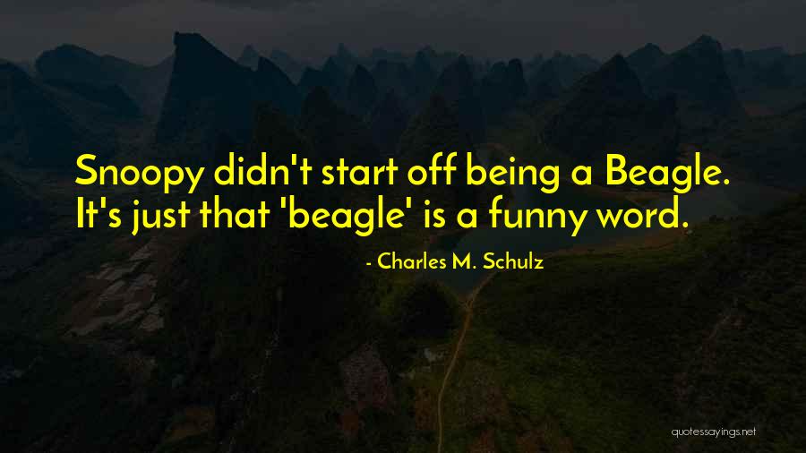 Incontrare Coniugazione Quotes By Charles M. Schulz Incontrare Coniugazione Quotes By Charles M. Schulz