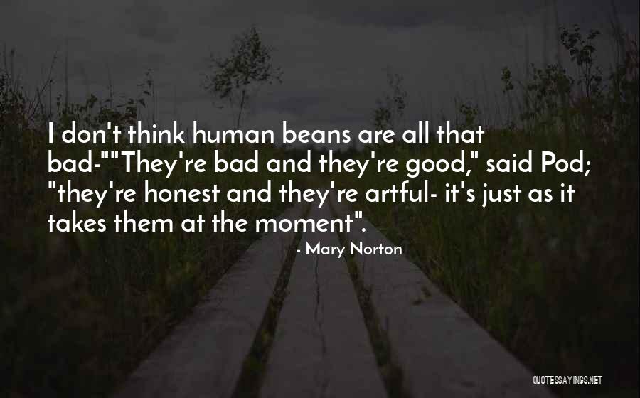 Inconveniencing Someone Quotes By Mary Norton Inconveniencing Someone Quotes By Mary Norton