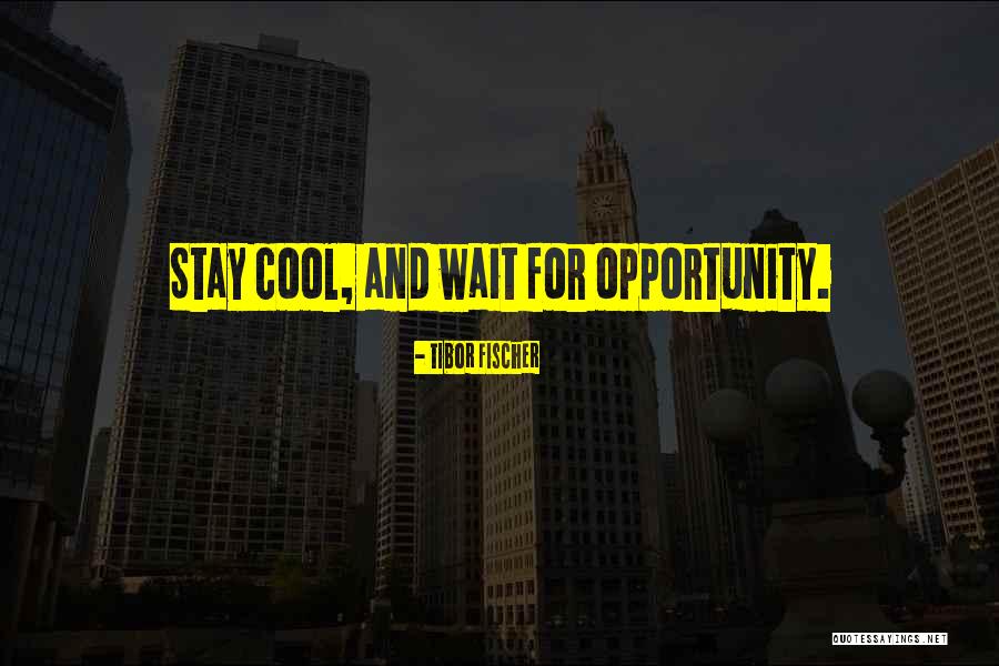 Incorrect Shinra Quotes By Tibor Fischer Incorrect Shinra Quotes By Tibor Fischer