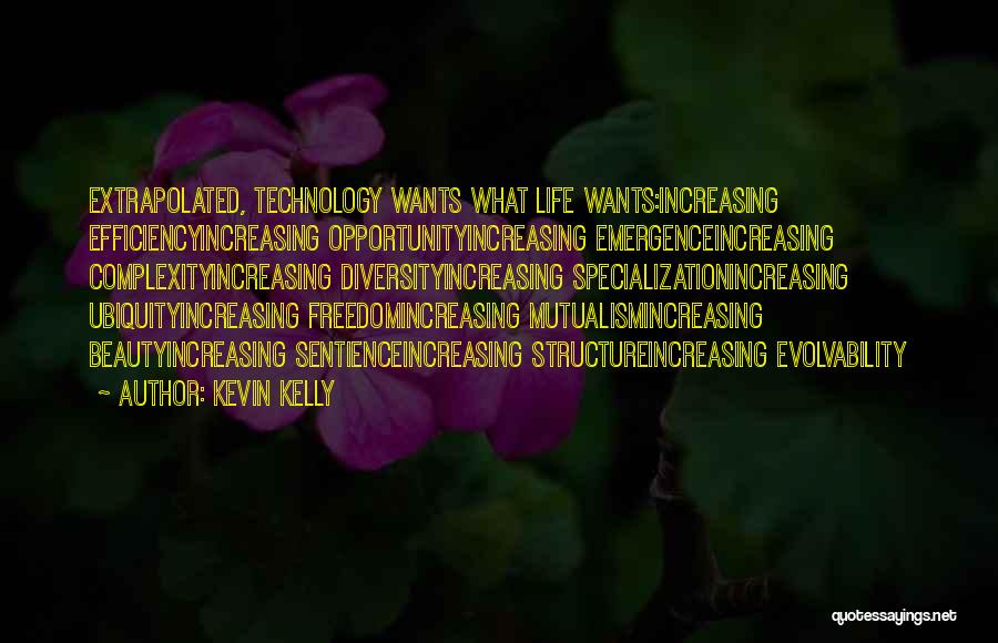 Increasing Efficiency Quotes By Kevin Kelly