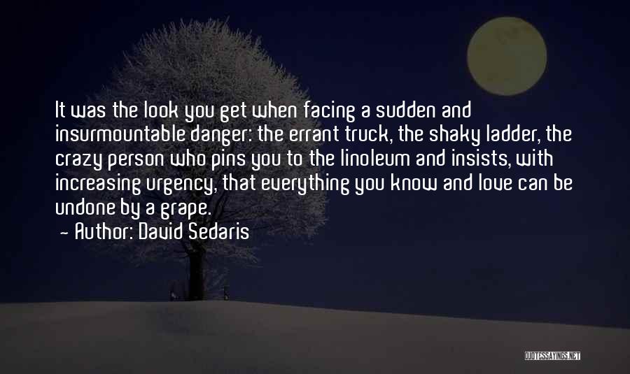 Increasing Love Quotes By David Sedaris