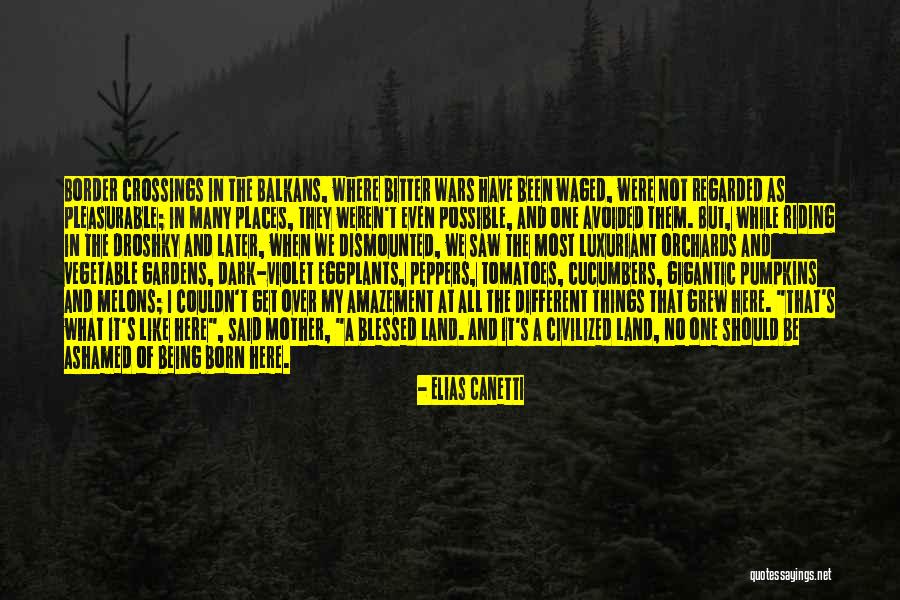 Incredibles Movie Quotes By Elias Canetti Incredibles Movie Quotes By Elias Canetti