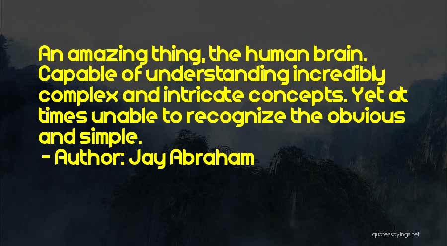 Incredibly Amazing Quotes By Jay Abraham