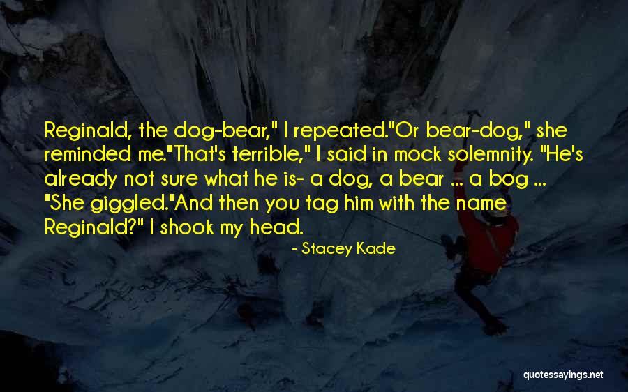 Incredibly Cheesy Love Quotes By Stacey Kade