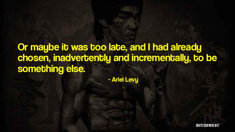 Incrementally Quotes By Ariel Levy Incrementally Quotes By Ariel Levy