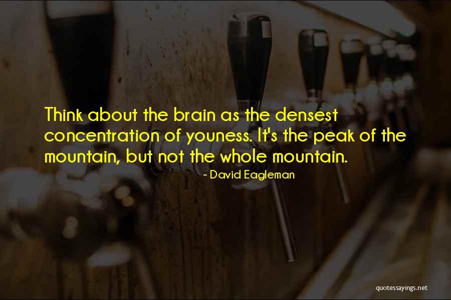 Incrimination Define Quotes By David Eagleman Incrimination Define Quotes By David Eagleman