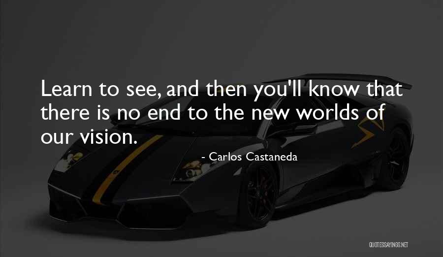 Incubating Goose Quotes By Carlos Castaneda Incubating Goose Quotes By Carlos Castaneda