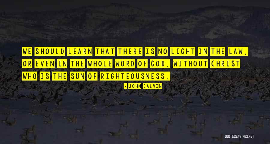 Incubating Goose Quotes By John Calvin Incubating Goose Quotes By John Calvin