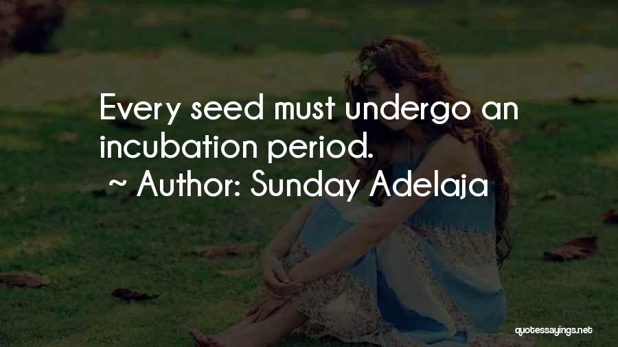 Incubation Quotes By Sunday Adelaja