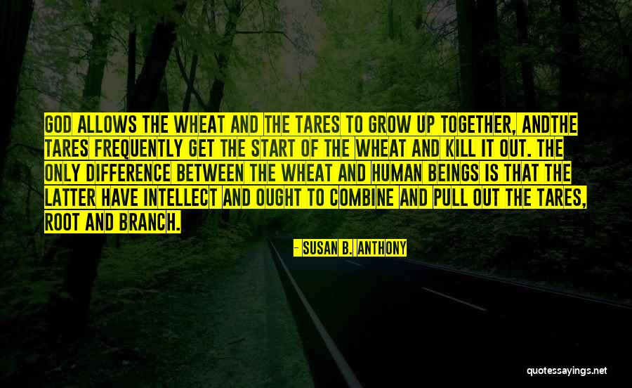 Incubeta Quotes By Susan B. Anthony Incubeta Quotes By Susan B. Anthony