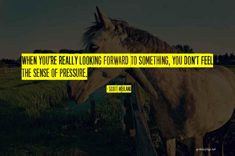 Incumbrances Or Encumbrances Quotes By Scott Weiland Incumbrances Or Encumbrances Quotes By Scott Weiland