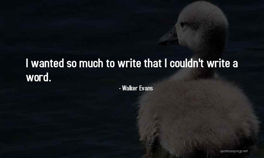 Ind T K Bel Quotes By Walker Evans Ind T K Bel Quotes By Walker Evans
