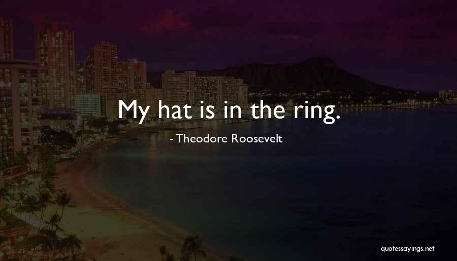 Indagador Quotes By Theodore Roosevelt