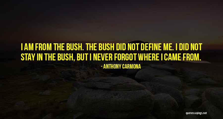Indagine Epidemiologica Quotes By Anthony Carmona Indagine Epidemiologica Quotes By Anthony Carmona