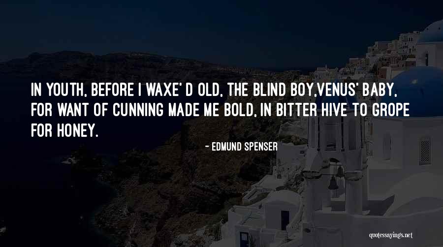 Indahash Quotes By Edmund Spenser Indahash Quotes By Edmund Spenser