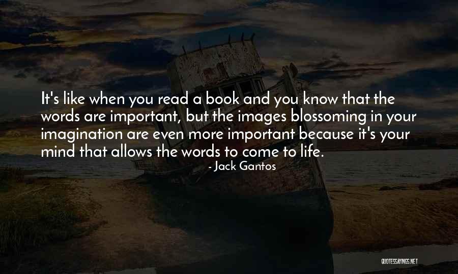 Indahash Quotes By Jack Gantos Indahash Quotes By Jack Gantos