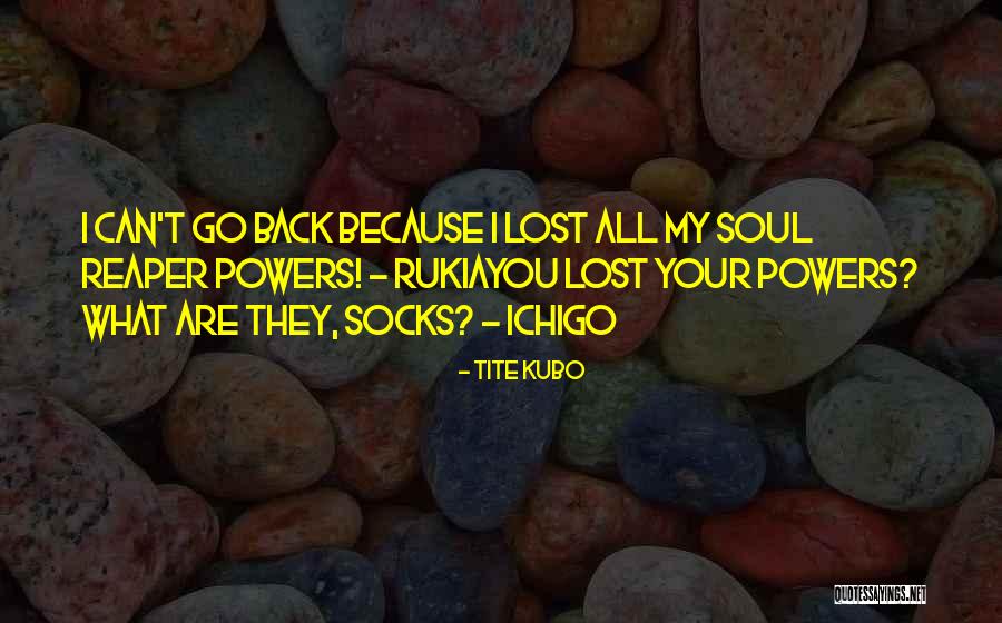 Indebtedness Letter Quotes By Tite Kubo Indebtedness Letter Quotes By Tite Kubo