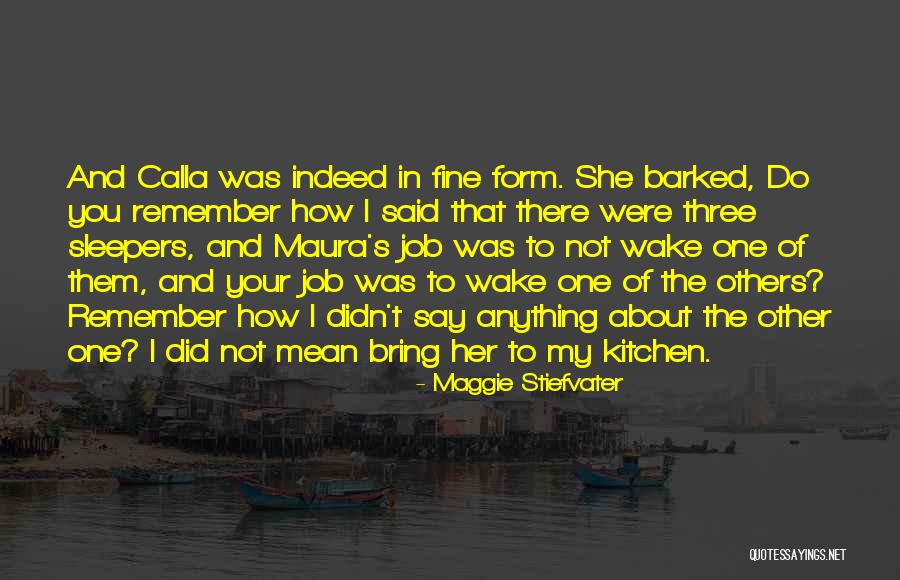 Indeed Job Quotes By Maggie Stiefvater Indeed Job Quotes By Maggie Stiefvater