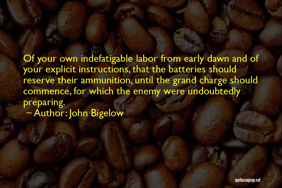 Indefatigable Quotes By John Bigelow