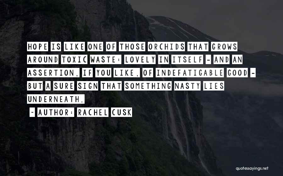 Indefatigable Quotes By Rachel Cusk