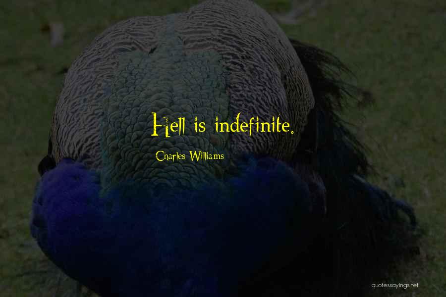 Indefinite Quotes By Charles Williams