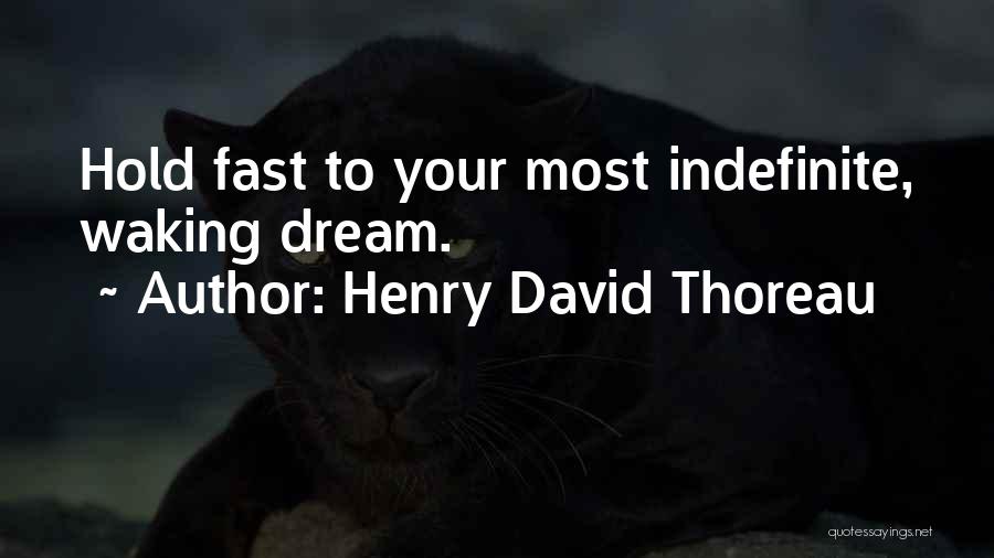 Indefinite Quotes By Henry David Thoreau
