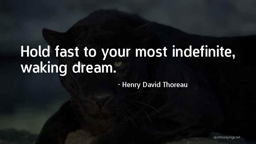 Indefinite Quotes By Henry David Thoreau