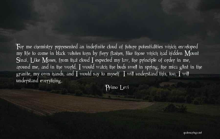 Indefinite Quotes By Primo Levi