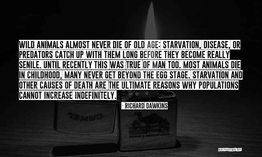 Indefinitely Quotes By Richard Dawkins