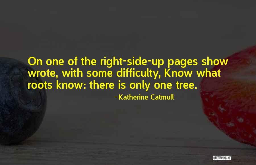 Indelibly In A Sentence Quotes By Katherine Catmull Indelibly In A Sentence Quotes By Katherine Catmull