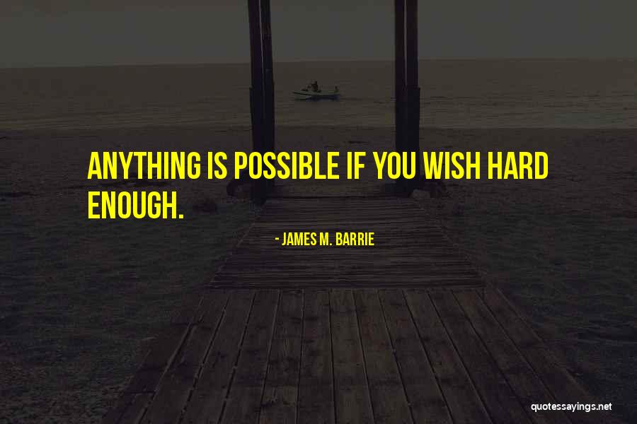 Indemnity Health Quotes By James M. Barrie