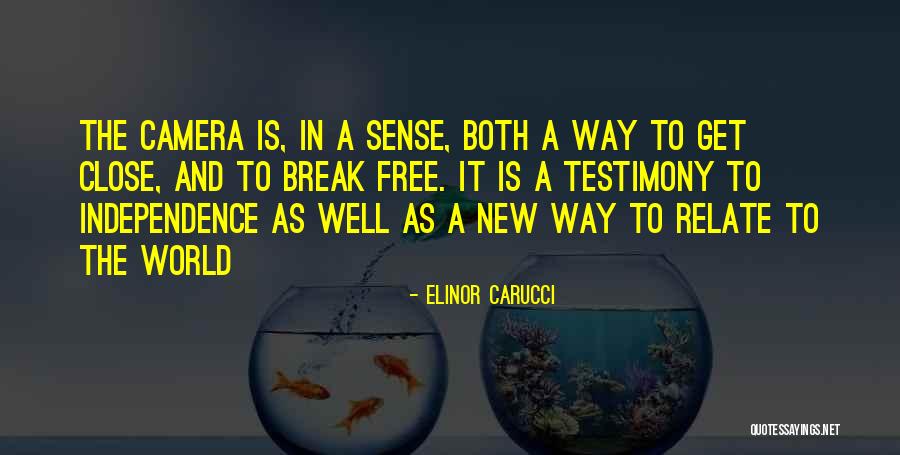 Independence Quotes By Elinor Carucci Independence Quotes By Elinor Carucci