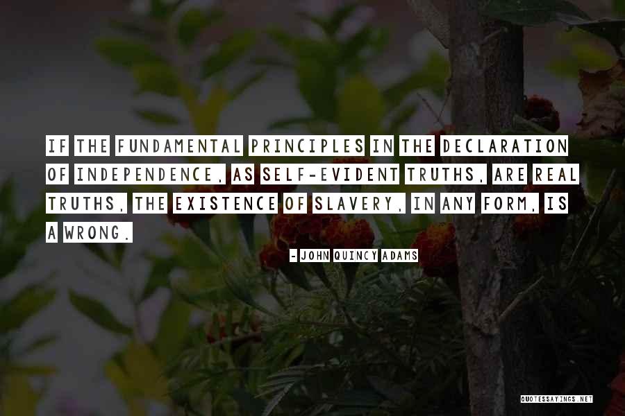 Independence Quotes By John Quincy Adams Independence Quotes By John Quincy Adams