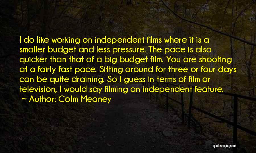 Independent Films Quotes By Colm Meaney