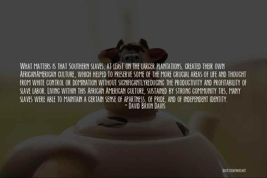 Independent Living Quotes By David Brion Davis Independent Living Quotes By David Brion Davis