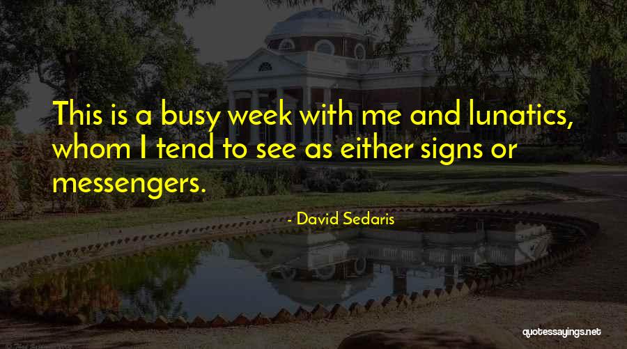 Independientemente De Lo Quotes By David Sedaris Independientemente De Lo Quotes By David Sedaris