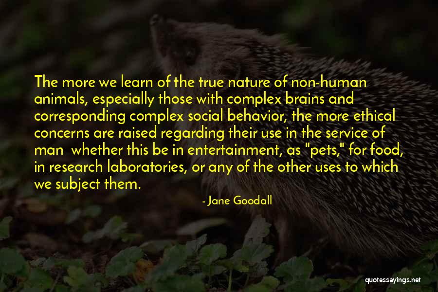 Independientemente In English Quotes By Jane Goodall Independientemente In English Quotes By Jane Goodall