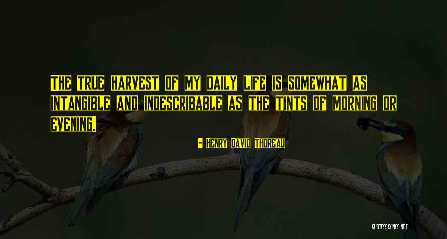 Indescribable Happiness Quotes By Henry David Thoreau Indescribable Happiness Quotes By Henry David Thoreau