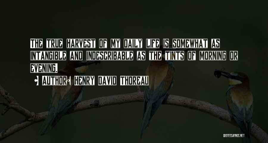 Indescribable Life Quotes By Henry David Thoreau