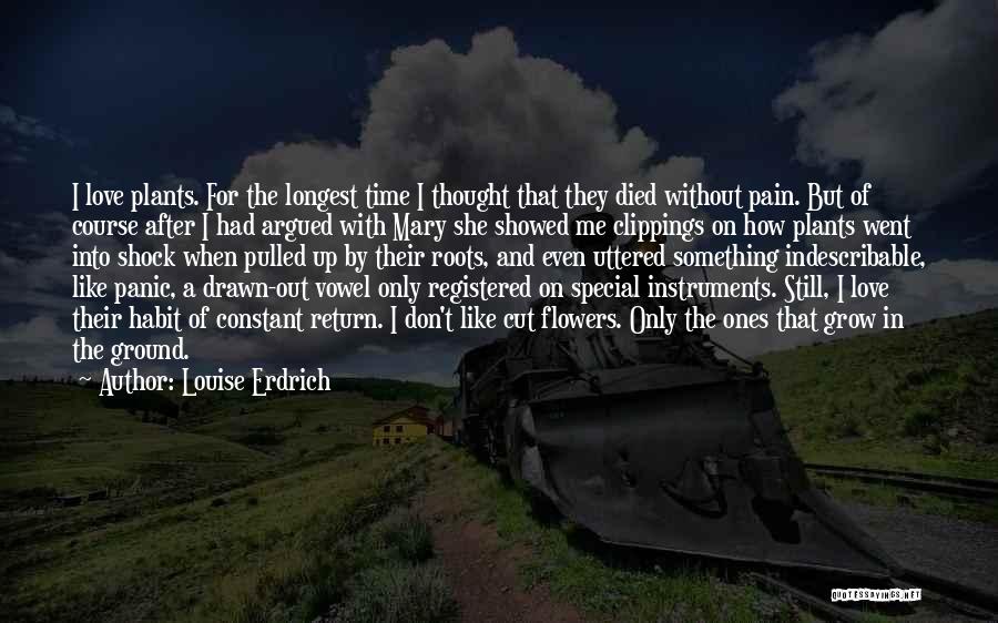 Indescribable Pain Quotes By Louise Erdrich