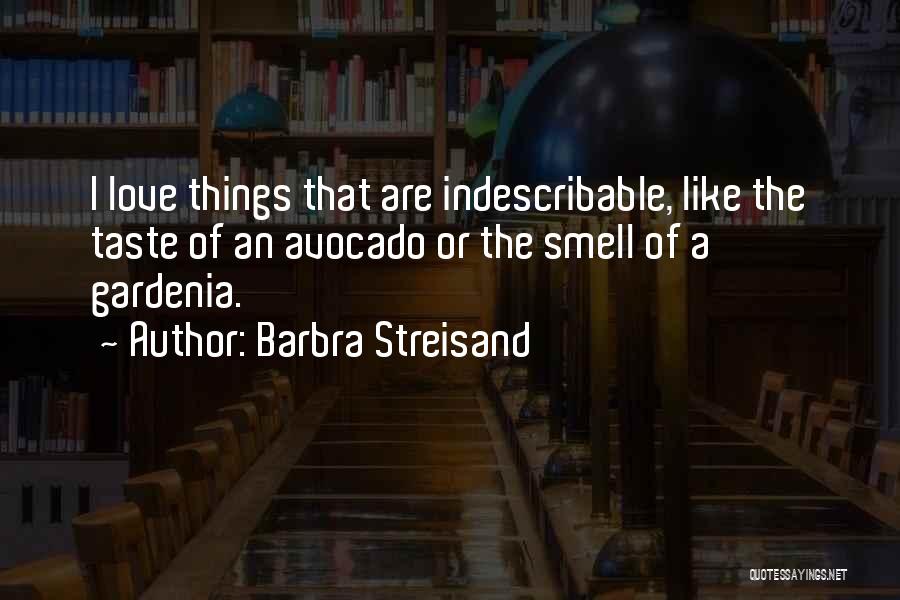 Indescribable Quotes By Barbra Streisand