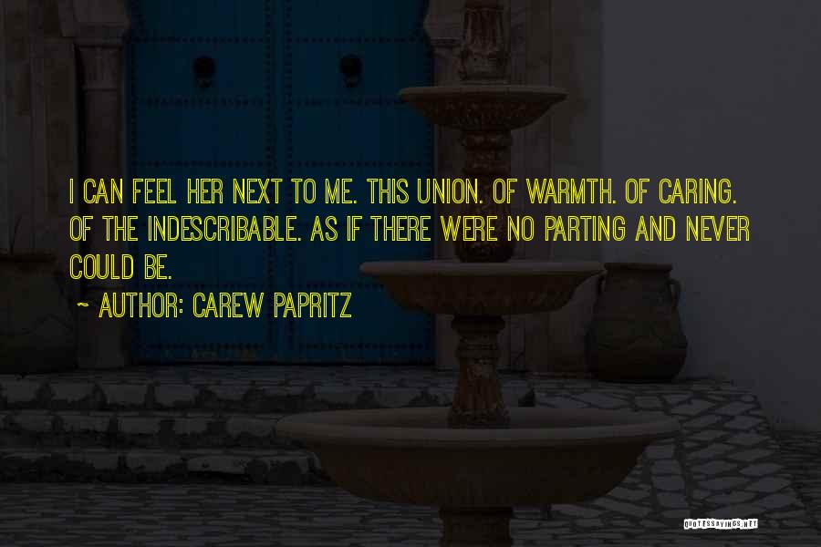 Indescribable Quotes By Carew Papritz